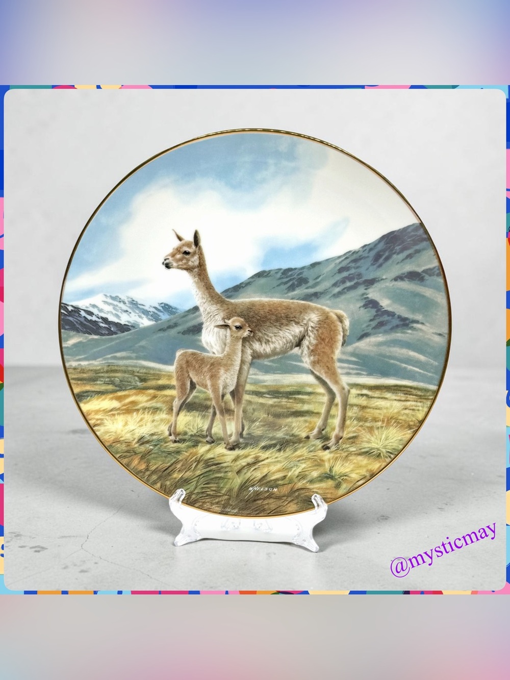 Vintage 1991 THE VICUNA Endangered Species COLLECTOR PLATE Bradford Exchange